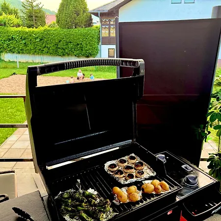 Unique Wellness ,whirlpool, Sauna, Bbq, Friends&fun Appartement
