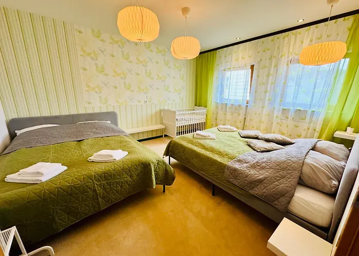 Unique Ferienhaeuser In - דירה באד אמס